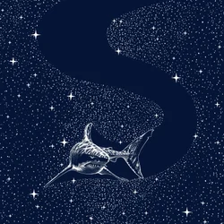 Great White Galaxy