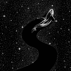 Orca Through Stars