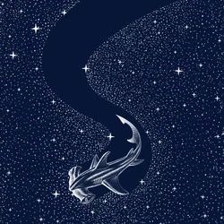 Starry Hammerhead Shark