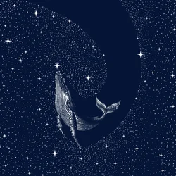Starry Night Whale