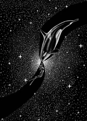 Starry Whale Embrace