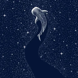 Starry Whale Shark