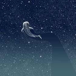 Whale Shark Galaxy