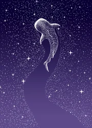 Whale Shark Galaxy Swim