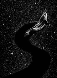 Whale Through Starlight