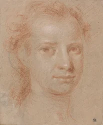 Head of a Young Woman or Man
