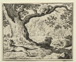 Reynard the Fox: The Disloyal Cat