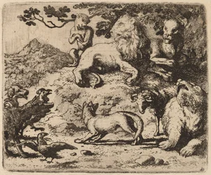 Reynard