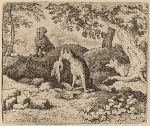 The Badger Goes to Warn Reynard