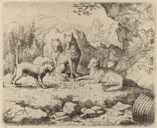 The Cat Sent as Messenger