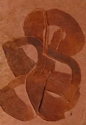 Earthy Textured Curves
