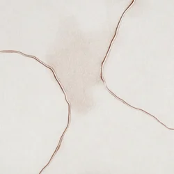 Soft Fluid Forms