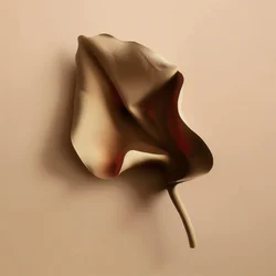 Soft Organic Shape