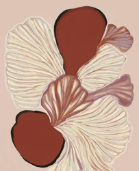 Soft Organic Shapes