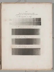Art of the Lithograph: Toning Samples, Plate XVI