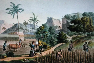 Island of Guam: Agricultural Works, from 