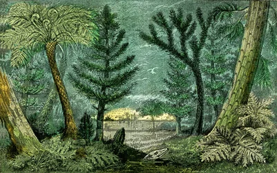 Prehistory, period of coal: Marecage and drill of the coal period