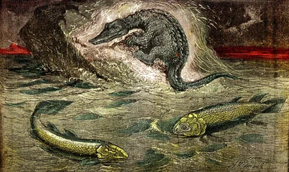Transition from fish to reptiles. Drawing A. Demarle. 1885