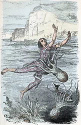 Zoological Board: Cephalopod Mollusk, Bather Seized by a Large Octopus and Musquee Eledone (Zoological Plate: Swimmer Seized by an Octopus) Engraving from 