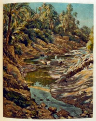 Illustration from 