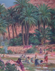 Palm trees. The palm was blessed by the Prophet Mohammed in the Koran. Colour lithograph, 1918.
