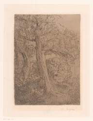 Two Trees