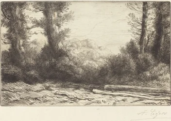 Edge of a Wood