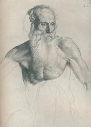 Study of an Old Man with a Long Beard