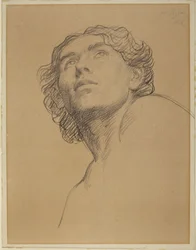 Head Study of Youth Looking Up