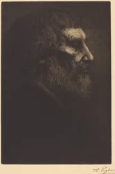 Head of a Beggar