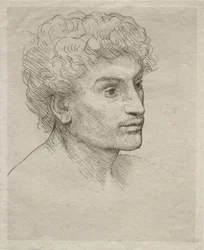 Head of a Young Man