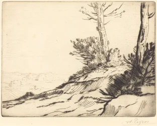 Hill with Bushes