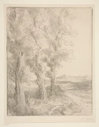 Woman Reading: Lesson under the Trees