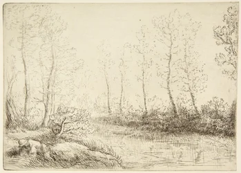 The Birches