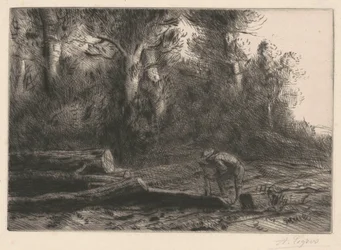 Man Squaring Logs