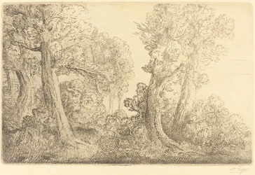 Near the Woods, Veronne