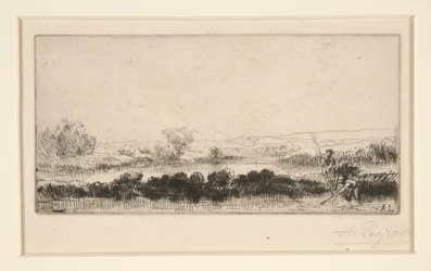 Peatland Landscape: In the Marsh