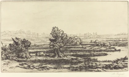 Peat-bogs