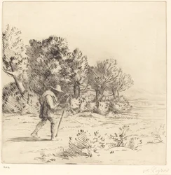 Peddler