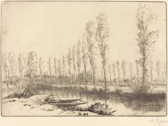 Poplars near Amiens