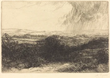 Prospect