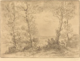 Salmon Fisher