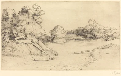 Siesta of a Harvester