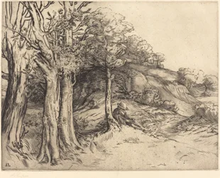 Solitude Landscape