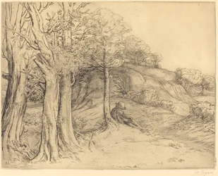 Solitude Landscape