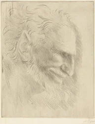 Study for the Head of a Man