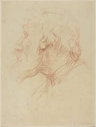 Study of a Beggar