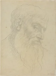 Study of a Head