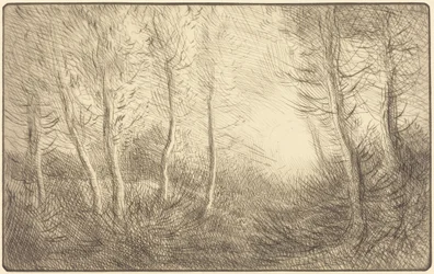 Sunrise, Woods of Clamard