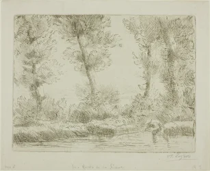 The Banks of the Liane